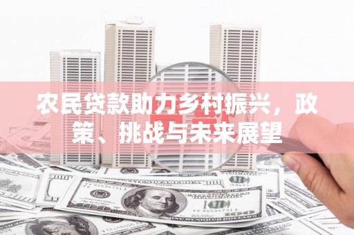 新田农民贷款助力乡村振兴，政策、挑战与未来展望