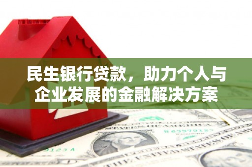 新田民生银行贷款，助力个人与企业发展的金融解决方案