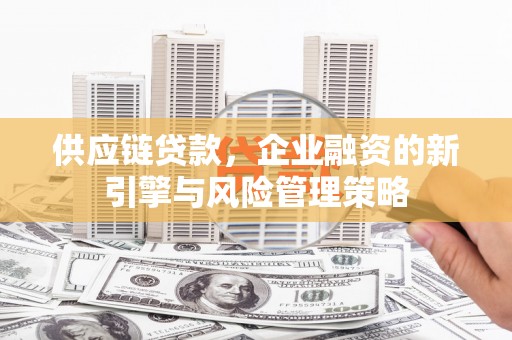 新田供应链贷款，企业融资的新引擎与风险管理策略