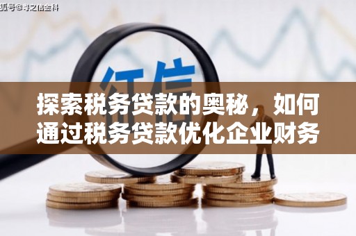 新田探索税务贷款的奥秘，如何通过税务贷款优化企业财务