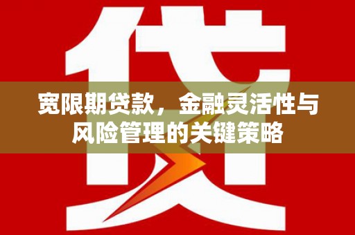 新田宽限期贷款，金融灵活性与风险管理的关键策略