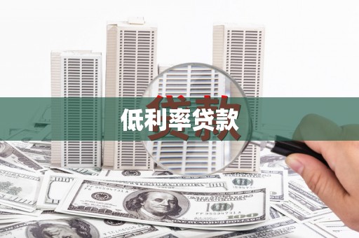 新田低利率贷款