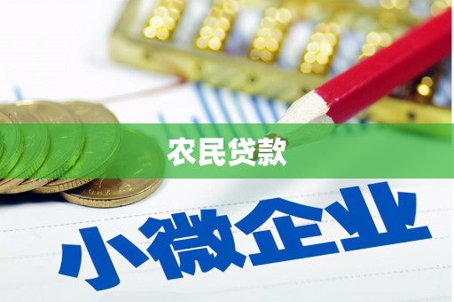 新田农民贷款