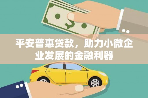 新田平安普惠贷款，助力小微企业发展的金融利器
