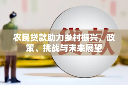 新田农民贷款助力乡村振兴，政策、挑战与未来展望