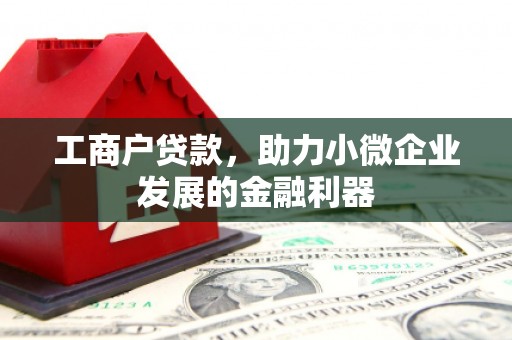新田工商户贷款，助力小微企业发展的金融利器