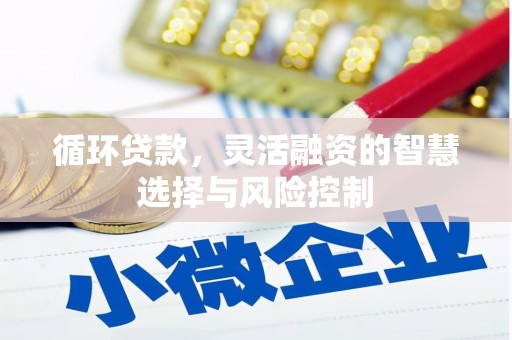 新田循环贷款，灵活融资的智慧选择与风险控制