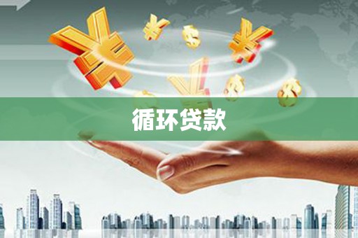 新田循环贷款