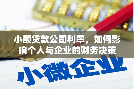 新田小额贷款公司利率，如何影响个人与企业的财务决策