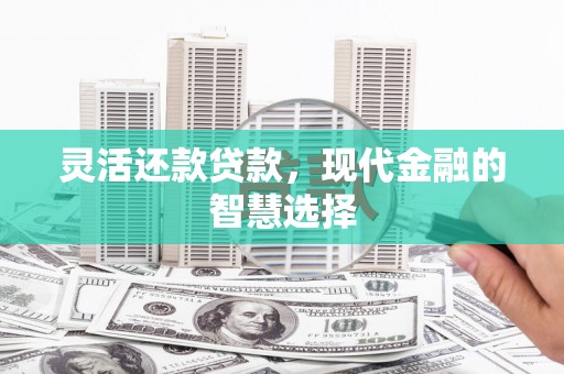 新田灵活还款贷款，现代金融的智慧选择