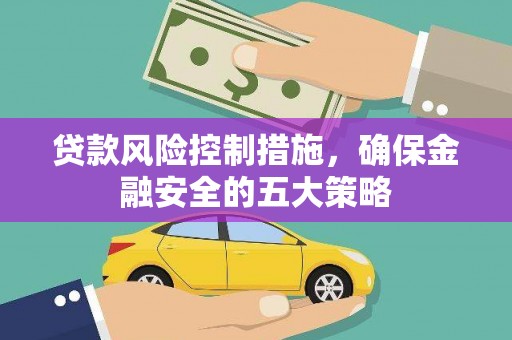 新田贷款风险控制措施，确保金融安全的五大策略