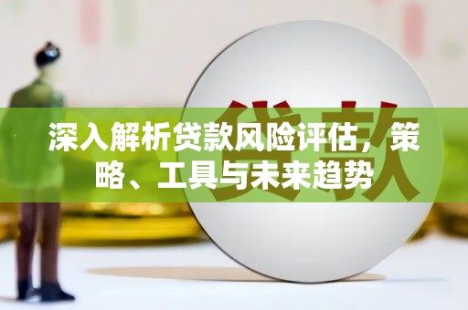 新田深入解析贷款风险评估，策略、工具与未来趋势