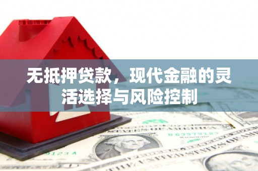 新田无抵押贷款，现代金融的灵活选择与风险控制