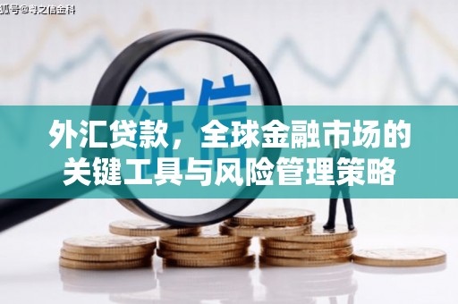 新田外汇贷款，全球金融市场的关键工具与风险管理策略
