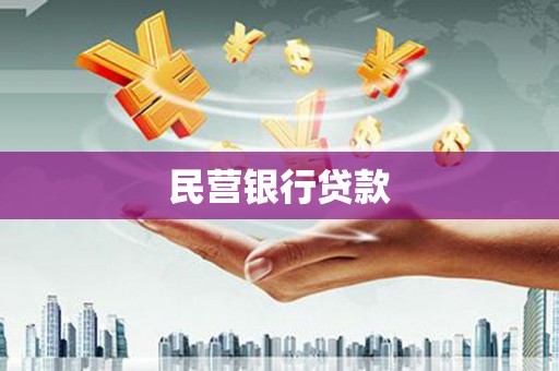 新田民营银行贷款