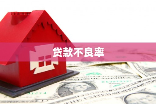 新田贷款不良率