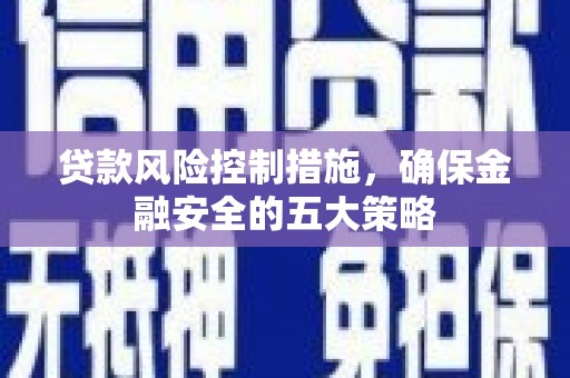新田贷款风险控制措施，确保金融安全的五大策略