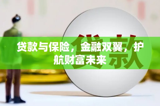 新田贷款与保险，金融双翼，护航财富未来