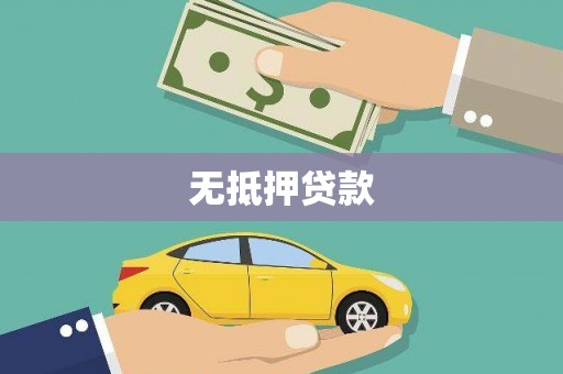 新田无抵押贷款