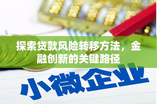 新田探索贷款风险转移方法，金融创新的关键路径