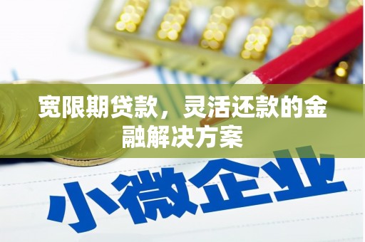 新田宽限期贷款，灵活还款的金融解决方案