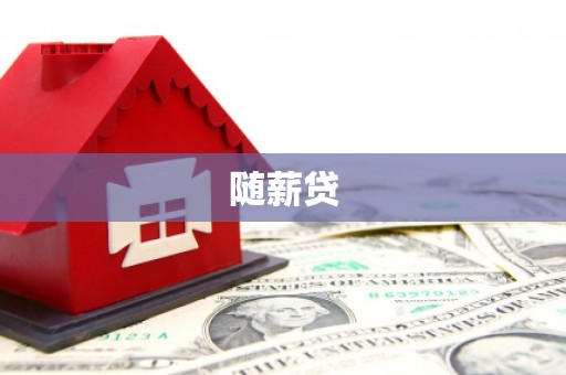 新田随薪贷