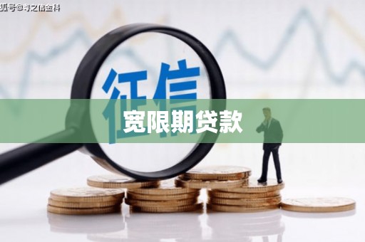 新田宽限期贷款