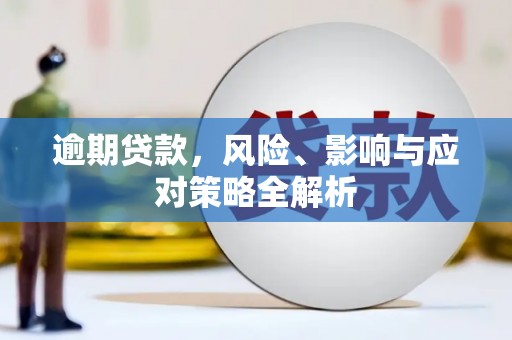 新田逾期贷款，风险、影响与应对策略全解析