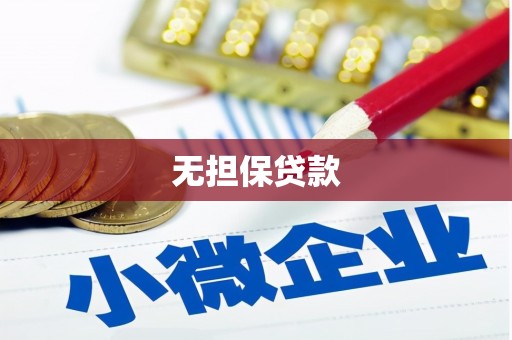 新田无担保贷款