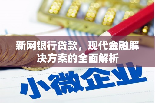 新田新网银行贷款，现代金融解决方案的全面解析