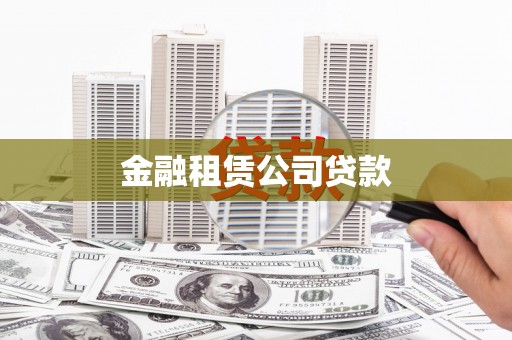 新田金融租赁公司贷款