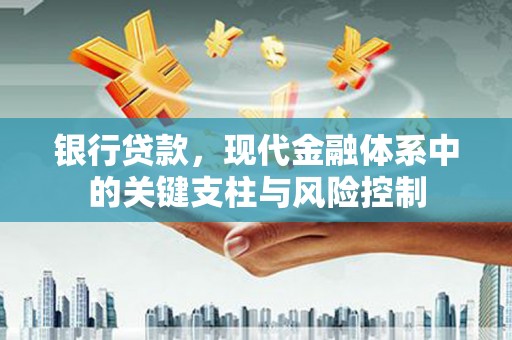 新田银行贷款，现代金融体系中的关键支柱与风险控制