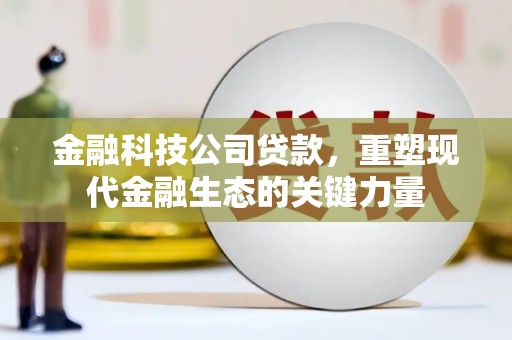 新田金融科技公司贷款，重塑现代金融生态的关键力量