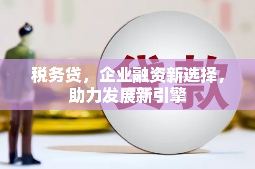新田税务贷，企业融资新选择，助力发展新引擎