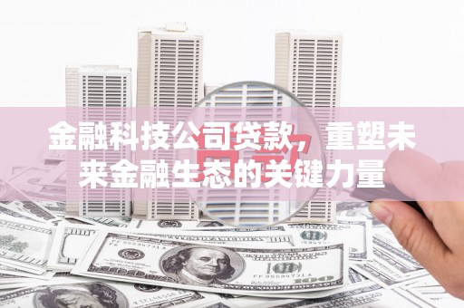 新田金融科技公司贷款，重塑未来金融生态的关键力量