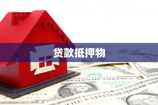 新田贷款抵押物