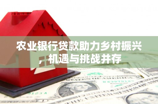 新田农业银行贷款助力乡村振兴，机遇与挑战并存