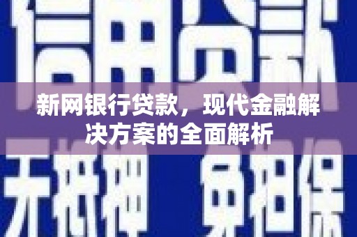 新田新网银行贷款，现代金融解决方案的全面解析