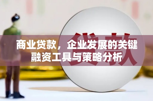 新田商业贷款，企业发展的关键融资工具与策略分析