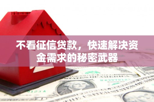 新田不看征信贷款，快速解决资金需求的秘密武器
