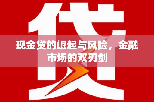 新田现金贷的崛起与风险，金融市场的双刃剑
