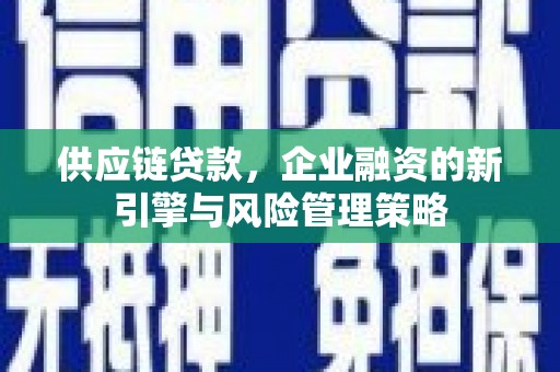 新田供应链贷款，企业融资的新引擎与风险管理策略