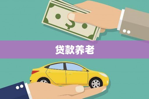 新田贷款养老