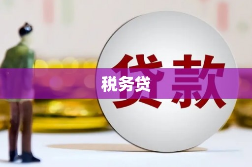 新田税务贷