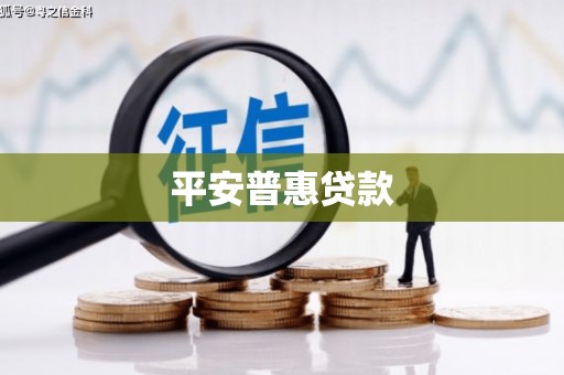 新田平安普惠贷款