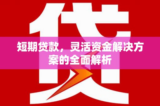 新田短期贷款，灵活资金解决方案的全面解析