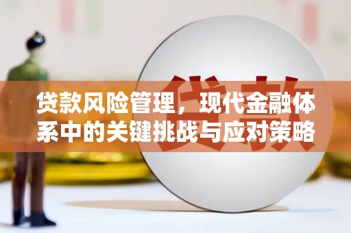 新田贷款风险管理，现代金融体系中的关键挑战与应对策略