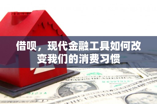 新田借呗，现代金融工具如何改变我们的消费习惯