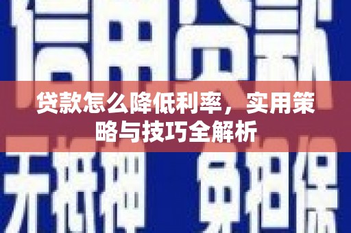 新田贷款怎么降低利率，实用策略与技巧全解析