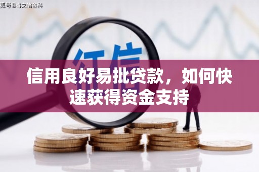 新田信用良好易批贷款，如何快速获得资金支持